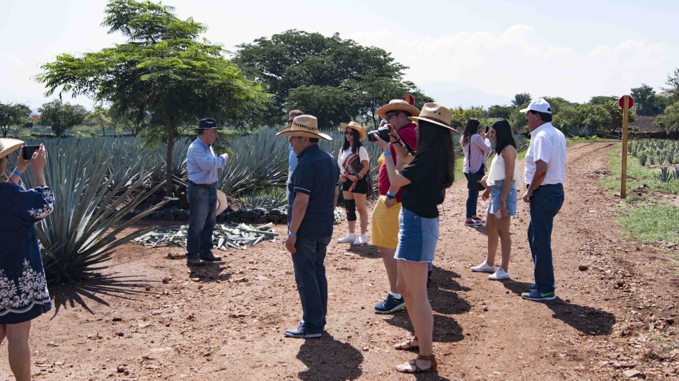 Guadalajara: Tequila Day Trip With Jose Cuervo Option - Optional Visit to Jose Cuervo Distillery