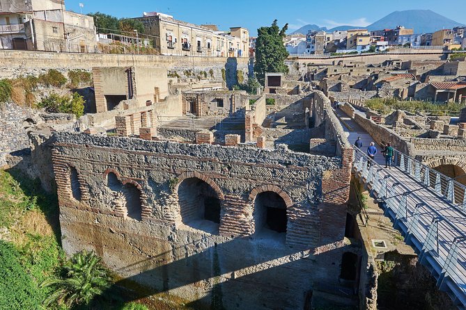 Guided Day Tour of Pompeii and Herculaneum With Light Lunch - Herculaneum Ruins