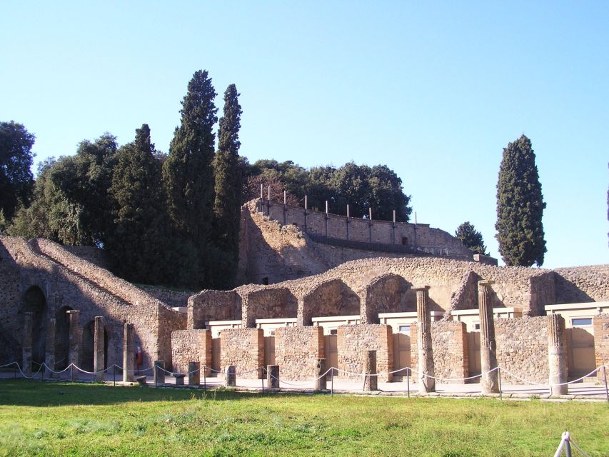 Guided Tour of the Pompeii Ruines With Transfer Service - Recap