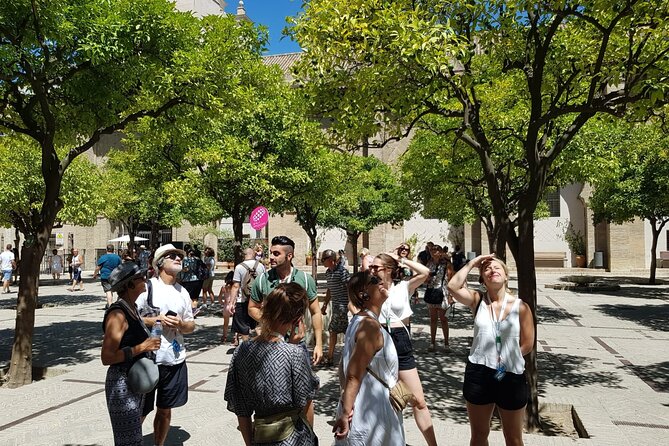 Guided Tour Sevilla Cathedral - Admiring the Panoramic City Views