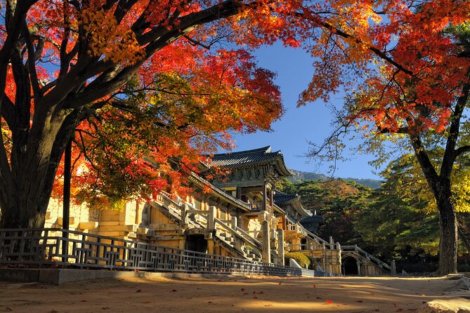Gyeongju UNESCO Sites Private Tour With Licensed Tour Guide - Accessibility and Additional Details