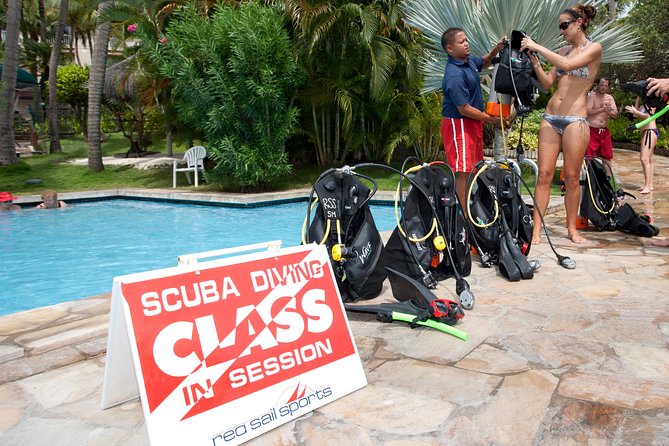 Half-Day Aruba Intro Diving Course for Beginners - Reviews and Testimonials