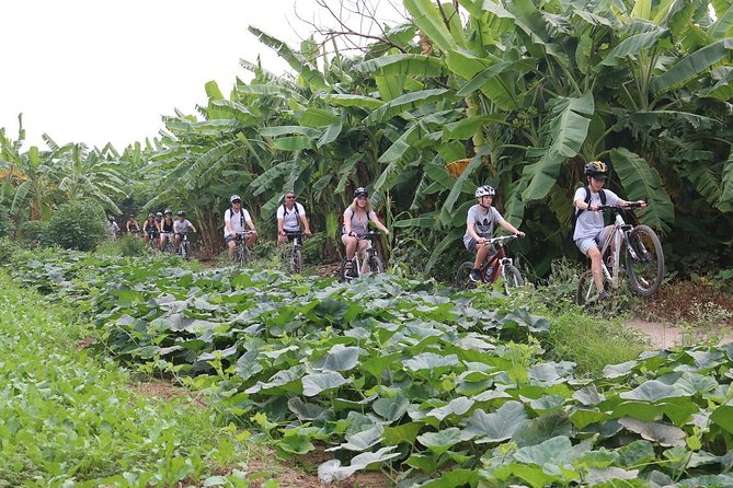 Half-Day Bicycle Tour of Hanoi City & Countryside + Train Street - Cancellation Policy