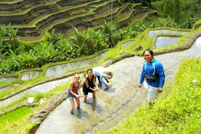 Half-Day Electric Cycling Tour of Ubud - Participant Information