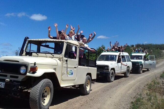 Half Day Safari Tour With Wine Tasting - Local Products Pairing
