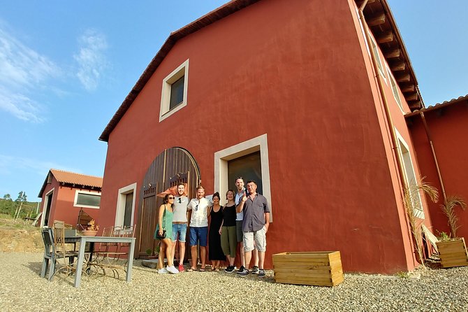 Half-Day Small-Group Wine Experience With Wine Expert From Cagliari - Inclusions and Exclusions