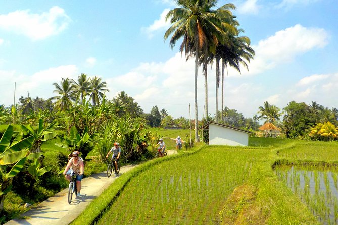 Half-Day Ubud Electric Cycling Tour to Tirta Empul Water Temple - Accessibility and Weight Limit