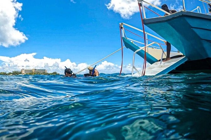 Harbour Lights - Chair & Turtle & Shipwreck Snorkel Tour - Accessibility Options