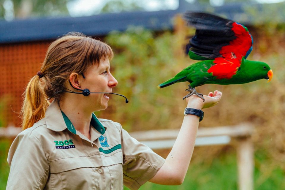 Healesville Sanctuary: General Admission Ticket - Meeting Point and Directions