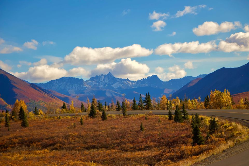 Healy: Denali National Park Self-Guided Jeep Adventure - Experience Description