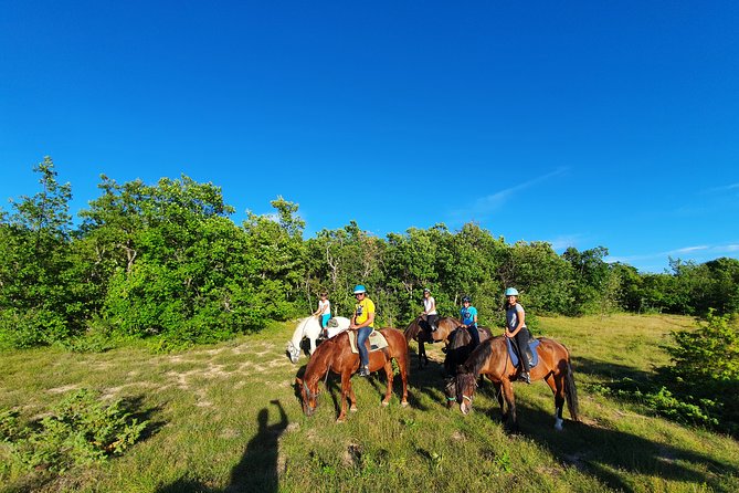 Horse Ride in Haute Provence Luberon and Forcalquier - Confirmation and Accessibility