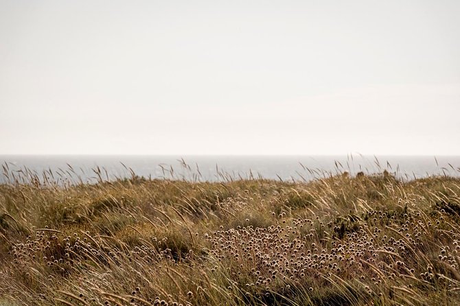 Horse Riding on the Beach - Cancellation Policy
