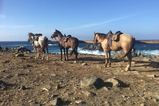 Horseback Ride Tour to Natural Pool in Arikok National Park - Transportation and Meeting Locations