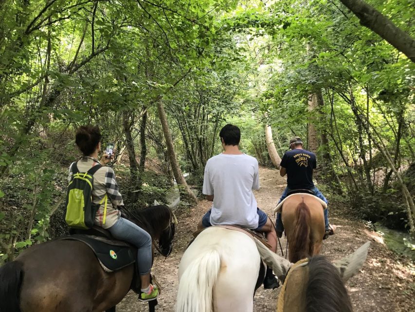 Horseback Riding and Wine Tasting in the Land of Custoza - Horseback Riding Experience