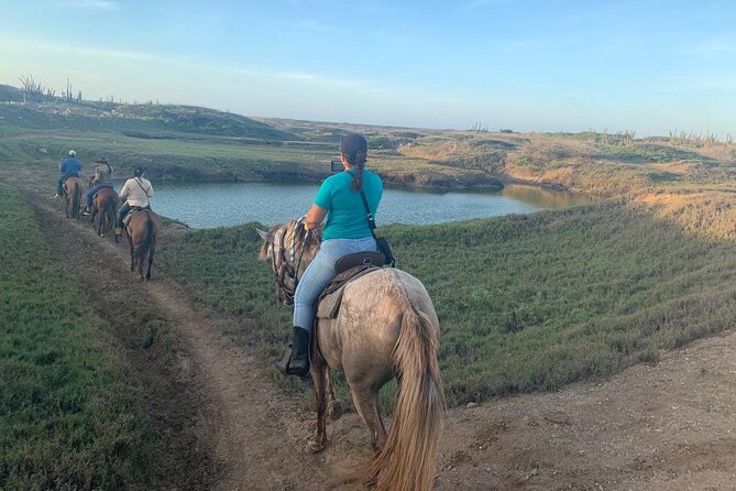 Horseback Riding Wariruri Beach Tour in Aruba - Customer Experiences