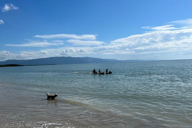 Horseback “Special”- Negril'S Beach Ride N' Swim With Free Photos/Videos - Learning About Local Flora and Fauna