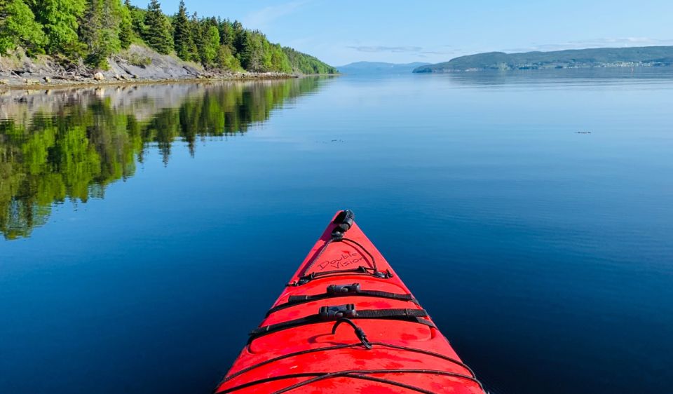 Humber Arm South: Bay of Islands Guided Kayaking Tour - Inclusions and Exclusions