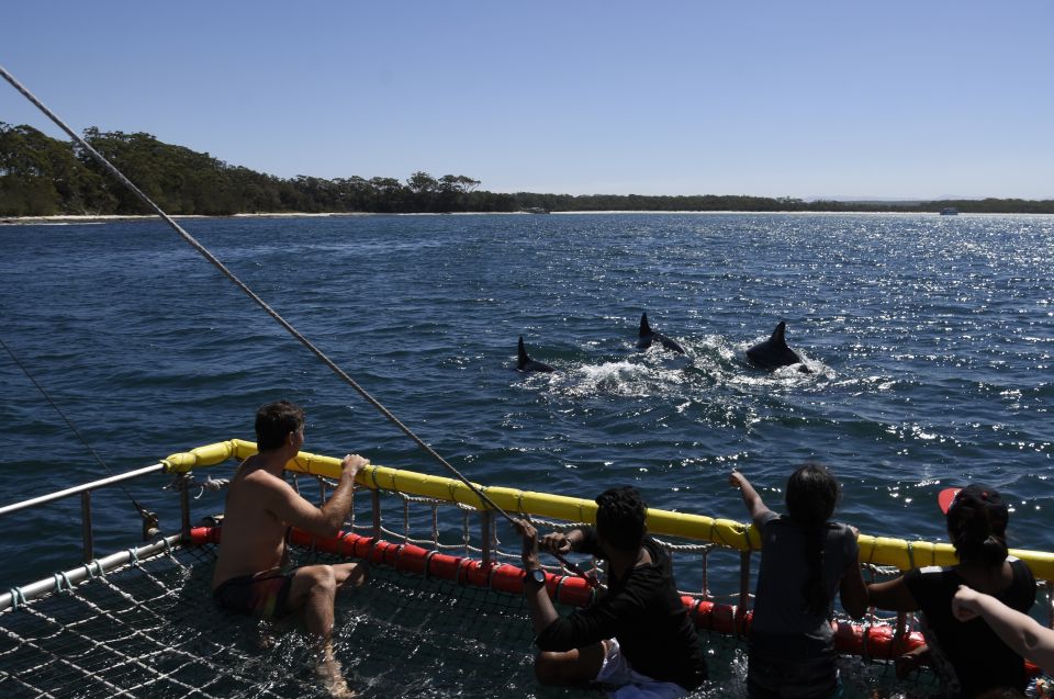 Huskisson: Dolphin Cruise & Boom Netting Experience - Frequently Asked Questions