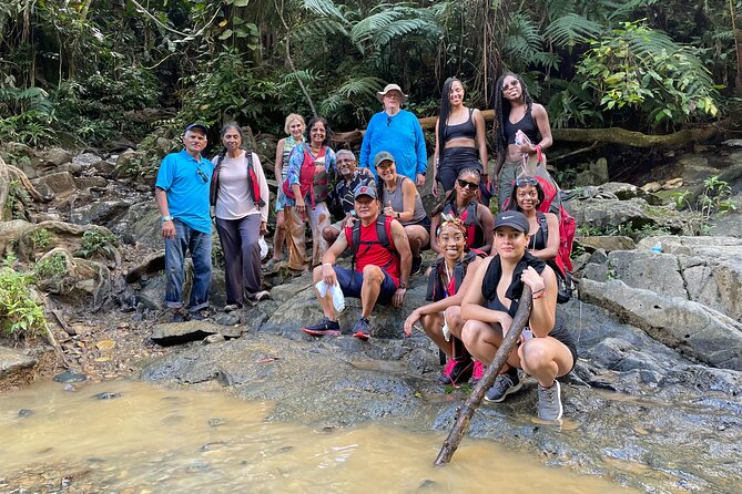 Immersive Small Group Rainforest Adventure With Transportation - Customer Experiences