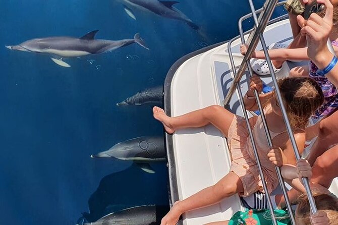Incredible Dolphin Watching Experience on Our Family Friendly Catamaran - Lagos - Departure and Return Information
