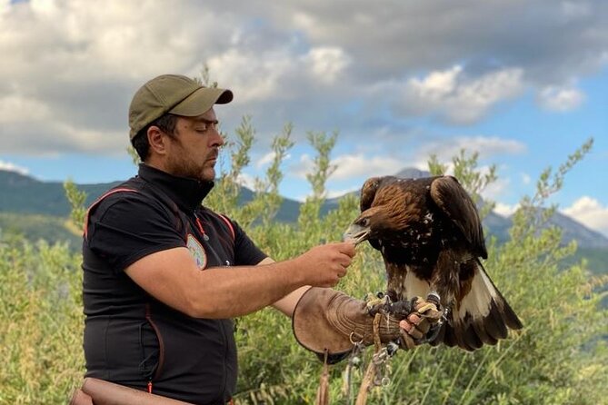 Interactive Path of Birds of Prey - Additional Information
