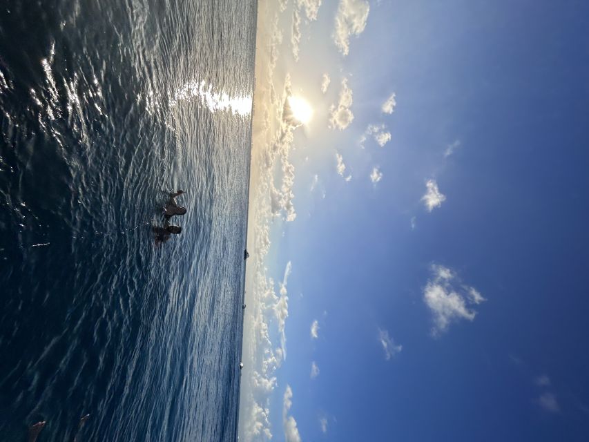 Isla Mujeres: Catamaran With Snorkel, Open Bar, and Transfer - Hotel Pickup and Drop-off