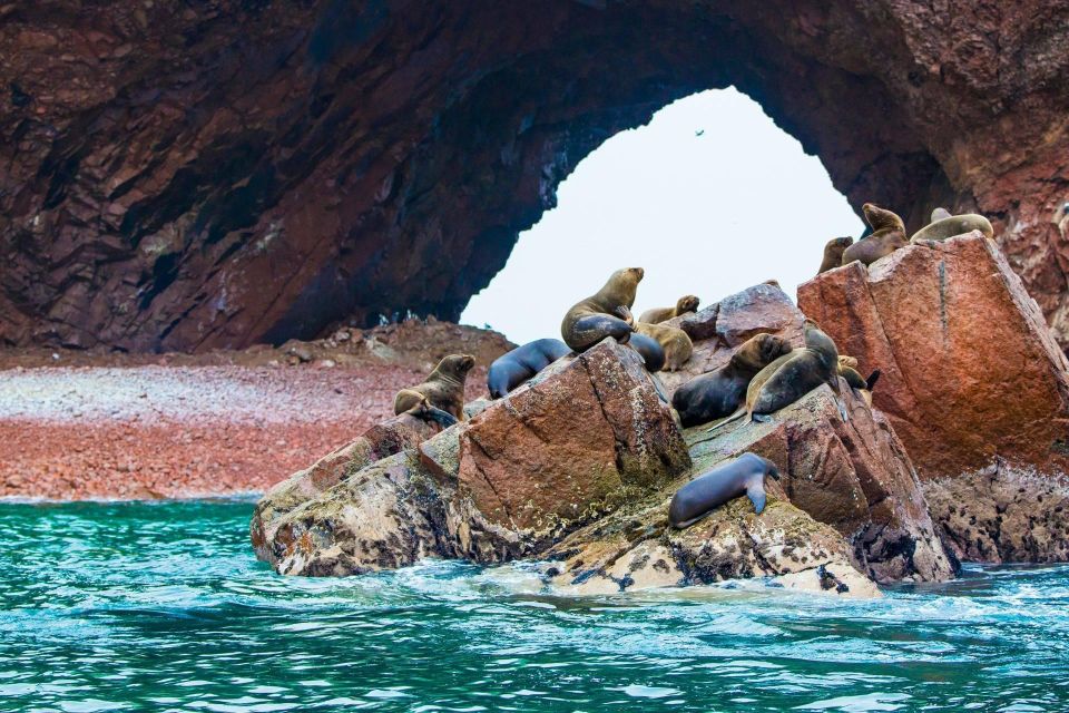 Islas Ballestas Full Day - Guided Boat Tour