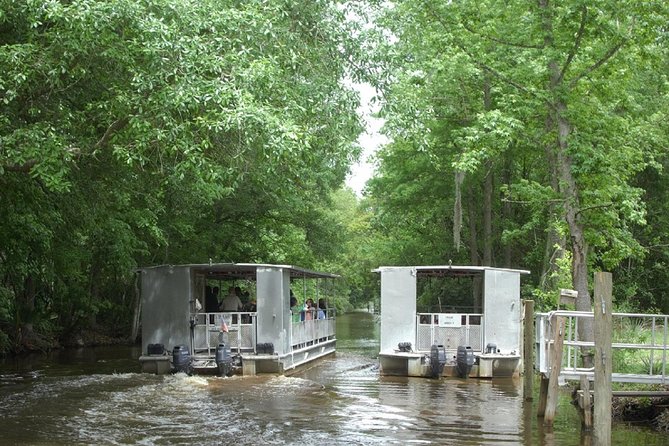 Jean Lafitte 90-Minute Swamp and Bayou Boat Tour - Tour Itinerary