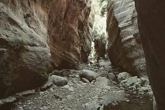 Jeep Safari to Akamas National Park: Avakas Gorge Tour From Paphos - Lara Bay Turtle Conservation Station