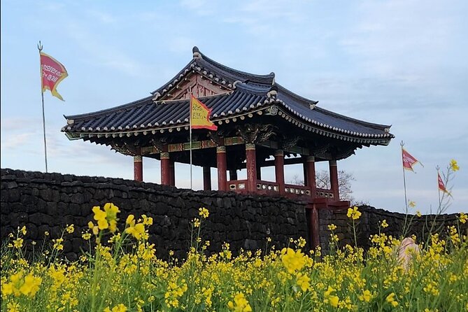 Jeju Taxi Tour KJ With Flexible Scheduling - Customizable Itinerary Benefits