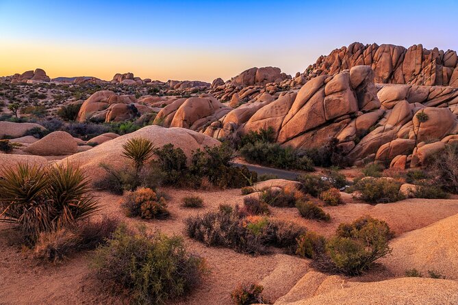 Joshua Tree National Park Self-Driving Audio Tour - App Usage Instructions