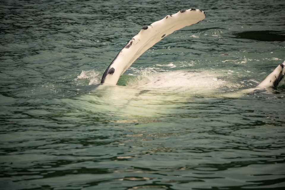 Juneau: Mendenhall Glacier Waterfall & Whale Watching Tour - Reservation and Cancellation