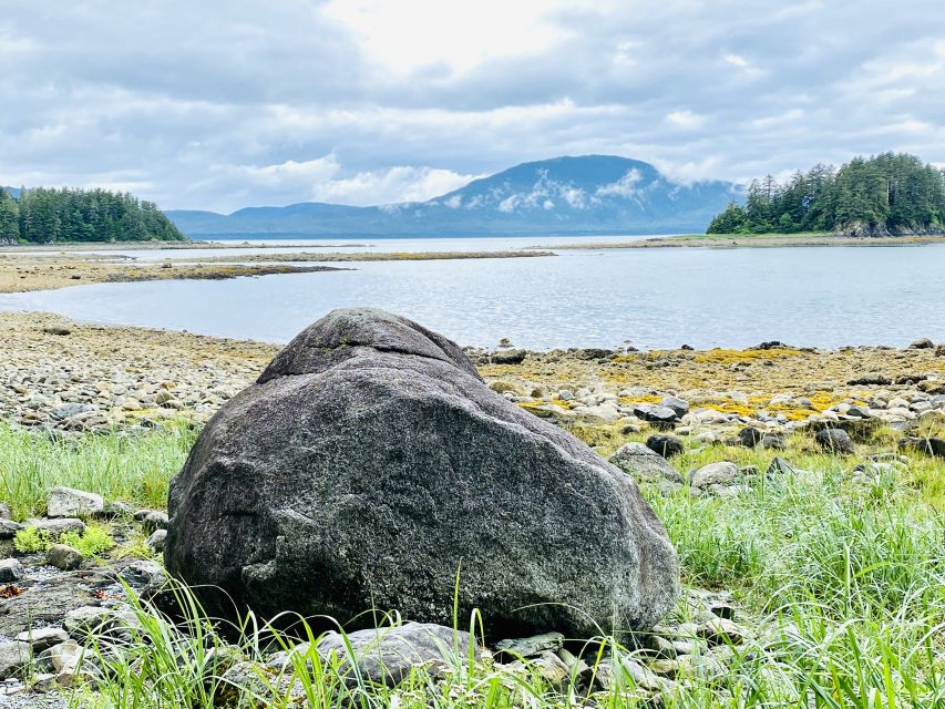 Juneau: Rainforest Photo Safari on a Segway - Important Considerations