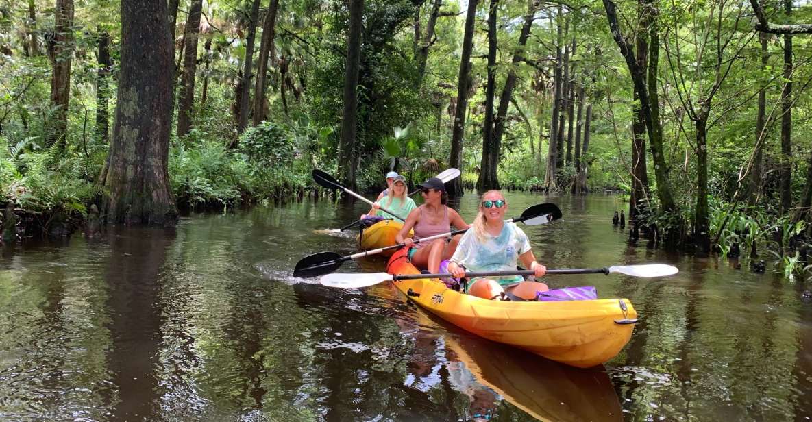 Jupiter: Loxahatchee River Scenic Kayak Tour - Native Flora and Fauna