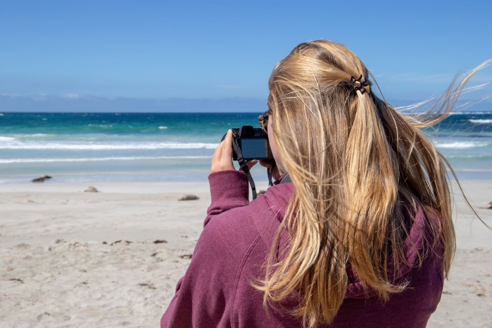 Kangaroo Island Full Day Experience by Ferry Including Lunch - Important Information