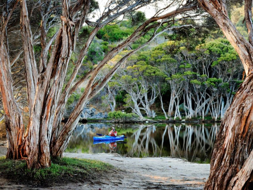 Kangaroo Island Lighthouse, Kangaroos and Wine Tasting - Directions