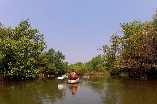 Kayaking Trails in Goa - Whats Included in the Tour