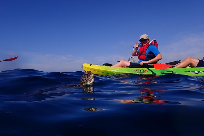 Kayaking With Dolphins and Turtles and Snorkelling in Tenerife - Included Equipment and Gear