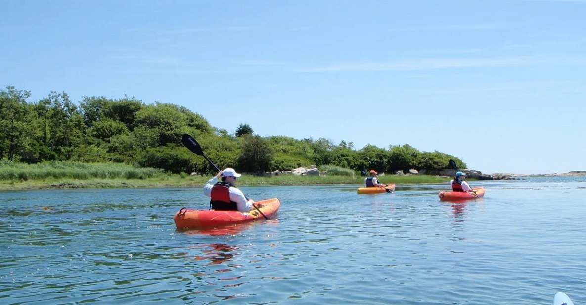 Kennebunkport: Cape Porpoise Half-Day Kayak/SUP Rental - Booking and Cancellation Policy