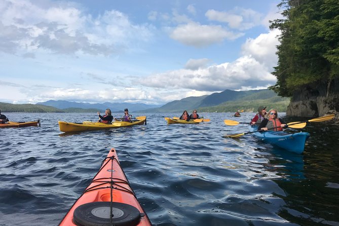 Ketchikan Kayak Eco-Tour - Customer Reviews and Testimonials