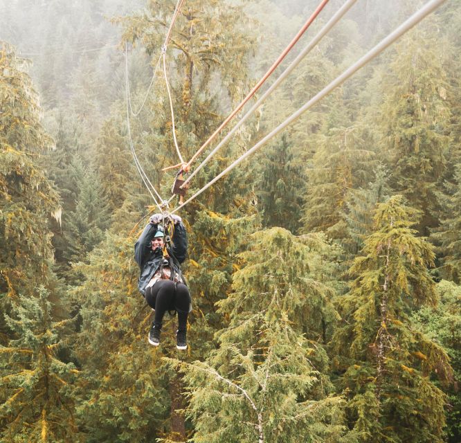 Ketchikan: Rainforest Zipline, Skybridge, & Rappel Adventure - Wildlife Sightings Along the Zipline Platforms