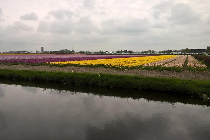 Keukenhofs Tulips and Windmills Small-Group Tour From Amsterdam - Group Size and Cancellation