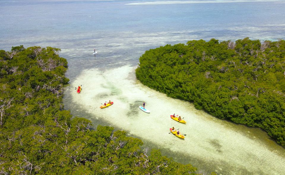 Key West: Sandbar Excursion & Kayak Tour With Lunch & Drinks - Meeting Point Details