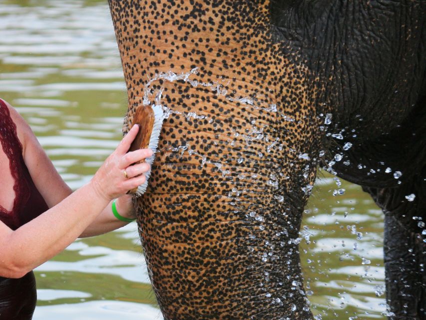 Khao Lak: Elephant Bathing and Feeding Tour - Exclusions