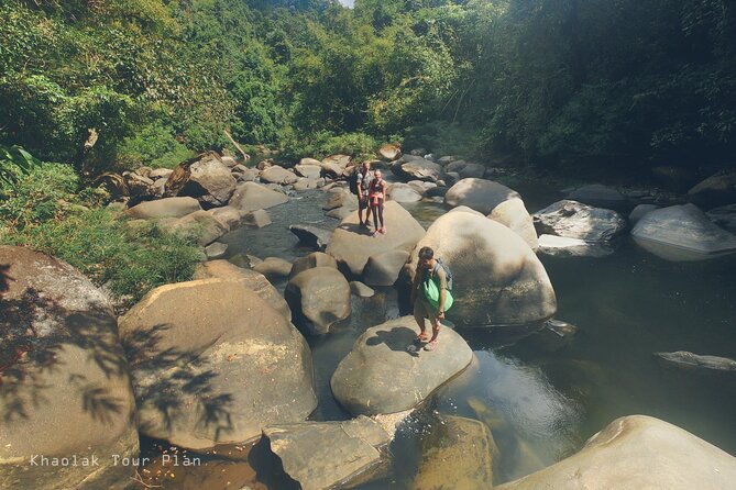 Khao Sok Rainforest | Hike + Canoe - Reviews and Feedback