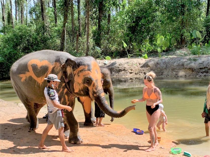 Khaolak: Elephant Sanctuary With Turtle Conservation Center - Bamboo Rafting Adventure