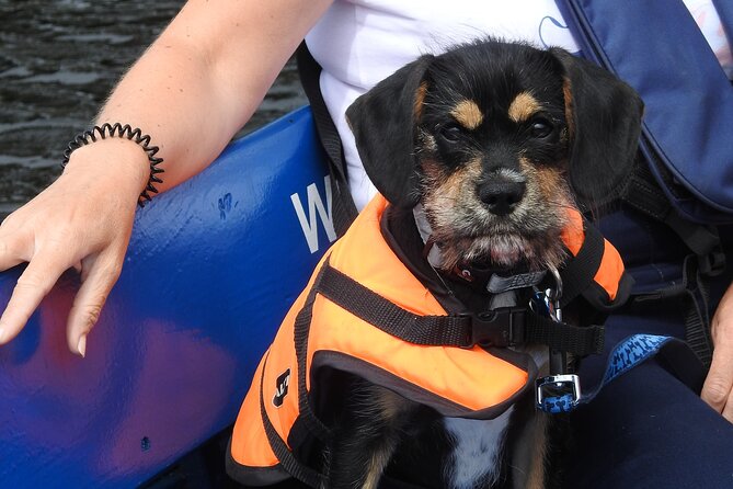 Kilkenny Boat Trip - Practical Information