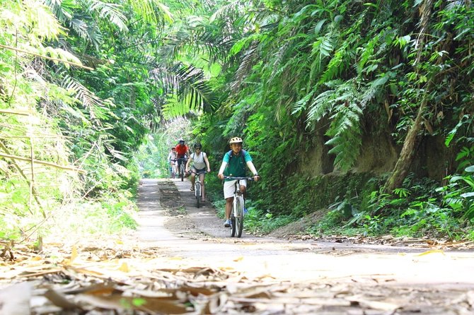 Kintamani Cultural and Nature Cycling Tour - Local Cuisine and Refreshments