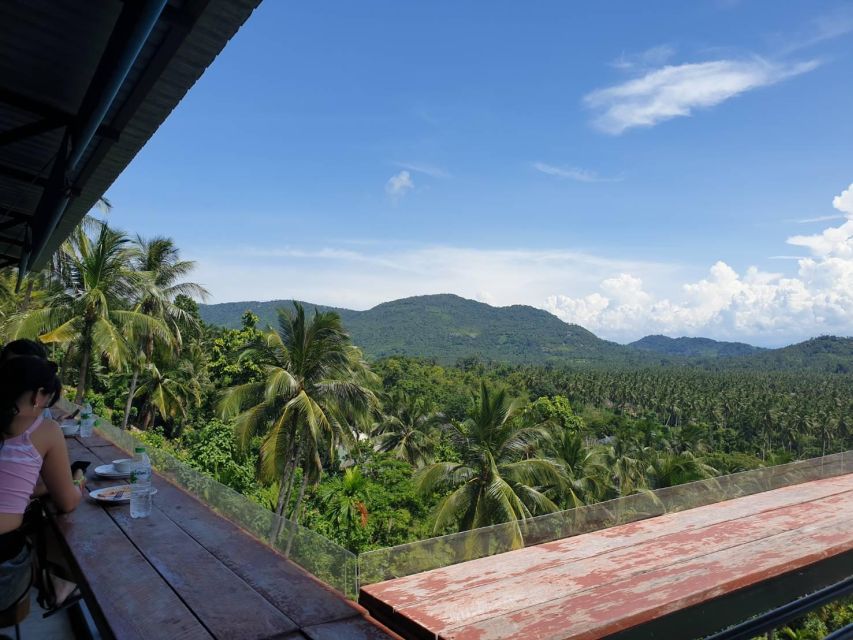 Koh Samui: 4x4 Sightseeing Safari & Elephant Sanctuary Tour - Feeding the Elephants