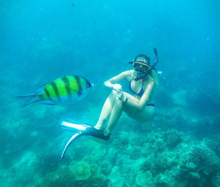 Koh Tao: Private Longtail Snorkel Tour With Nang Yuan Visit - Exclusions